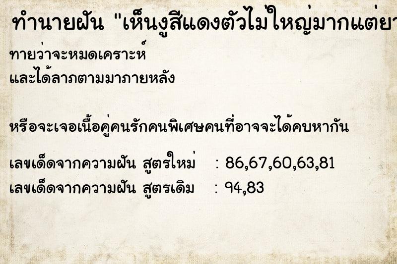 ทำนายฝันเห็นงูสีแดงตัวไม่ใหญ่มากแต่ยาว ทำนายฝันทำนายฝันเห็นงูสีแดงตัวไม่ใหญ่มากแต่ยาว