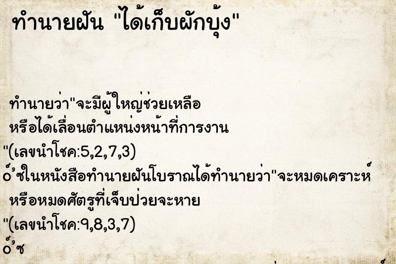 ทำนายฝันทำนายฝันได้เก็บผักบุ้ง