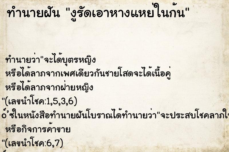 ทำนายฝัน งูรัดเอาหางแหย่ในก้น