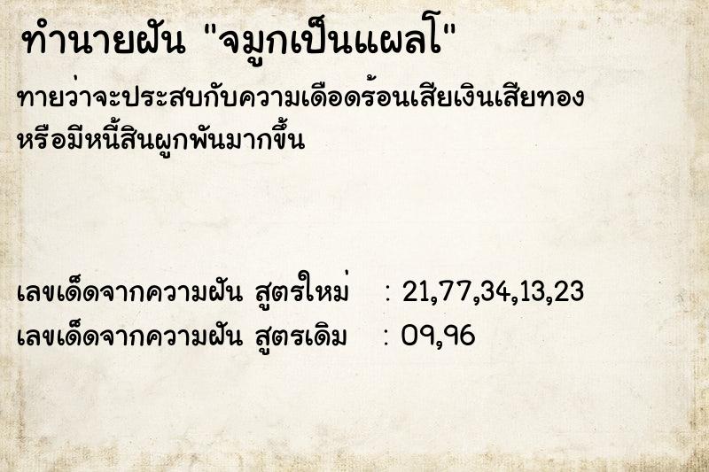 ทำนายฝัน จมูกเป็นแผลโ ทำนายฝัน จมูกเป็นแผลโ