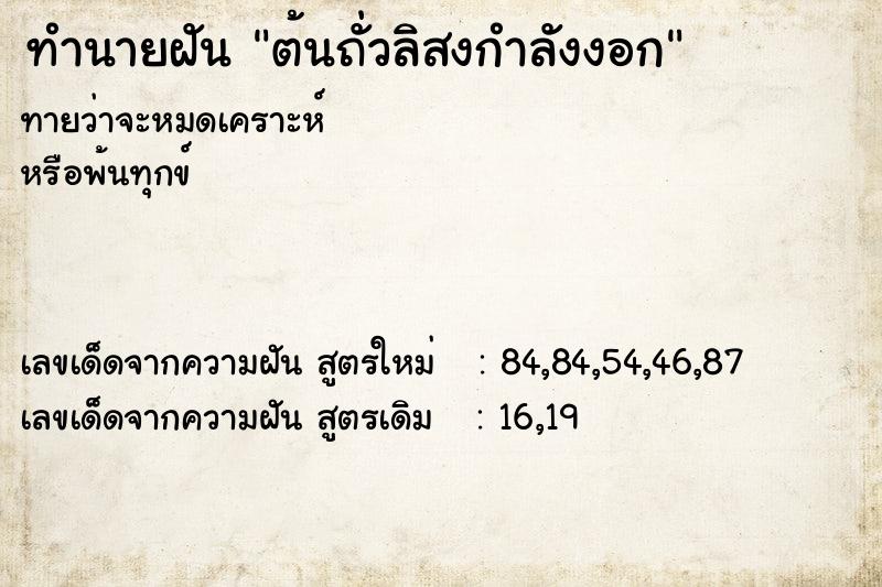 ทำนายฝันทำนายฝันต้นถั่วลิสงกำลังงอก
