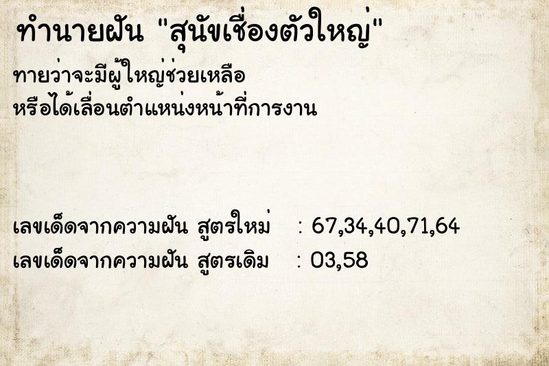 ทำนายฝันทำนายฝันสุนัขเชื่องตัวใหญ่