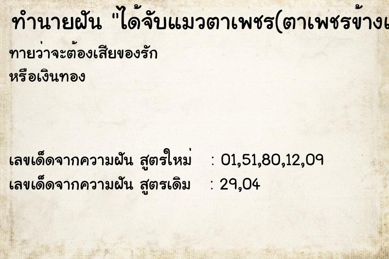 ทำนายฝัน ได้จับแมวตาเพชร(ตาเพชรข้างเดียว)
