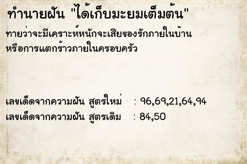 ทำนายฝัน ได้เก็บมะยมเต็มต้น