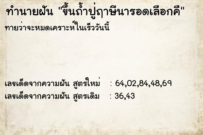 ทำนายฝันขึ้นถ้ำปู่ฤาษีนารอดเลือกคื ทำนายฝันทำนายฝันขึ้นถ้ำปู่ฤาษีนารอดเลือกคื
