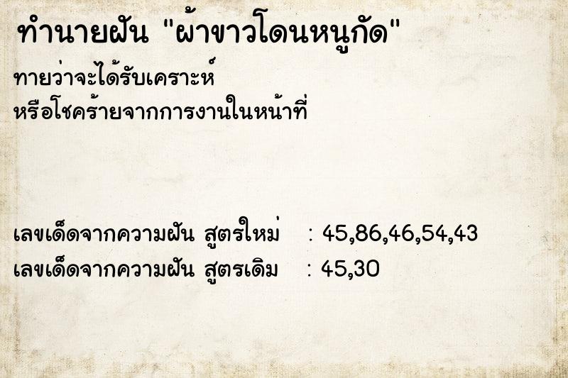 ทำนายฝันผ้าขาวโดนหนูกัด ทำนายฝันทำนายฝันผ้าขาวโดนหนูกัด