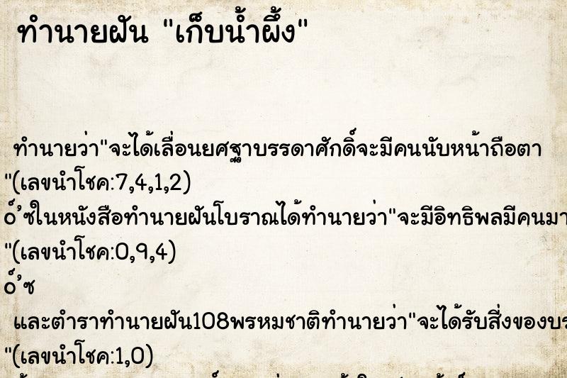 ทำนายฝัน เก็บน้ำผึ้ง ทำนายฝัน เก็บน้ำผึ้ง