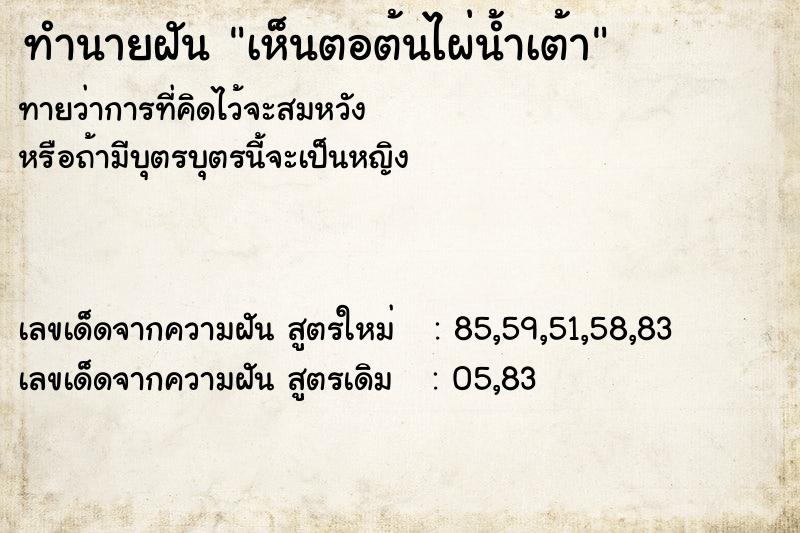 ทำนายฝันทำนายฝันเห็นตอต้นไผ่น้ำเต้า