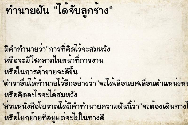 ทำนายฝันได้จับลูกช้าง ทำนายฝันทำนายฝันได้จับลูกช้าง