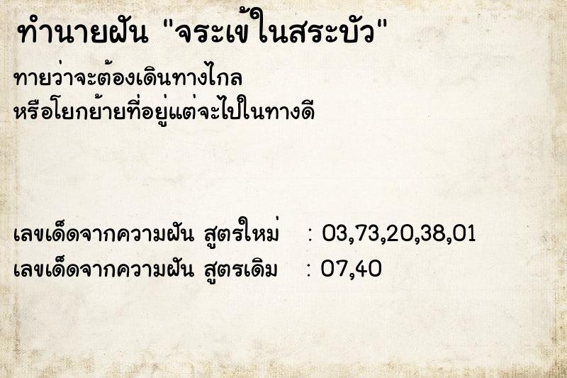ทำนายฝันจระเข้ในสระบัว ทำนายฝันทำนายฝันจระเข้ในสระบัว
