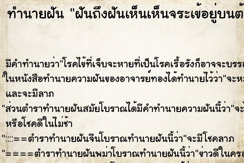 ทำนายฝัน ฝันถึงฝันเห็นเห็นจระเข้อยู่บนต้นไม้ ทำนายฝัน ฝันถึงฝันเห็นเห็นจระเข้อยู่บนต้นไม้