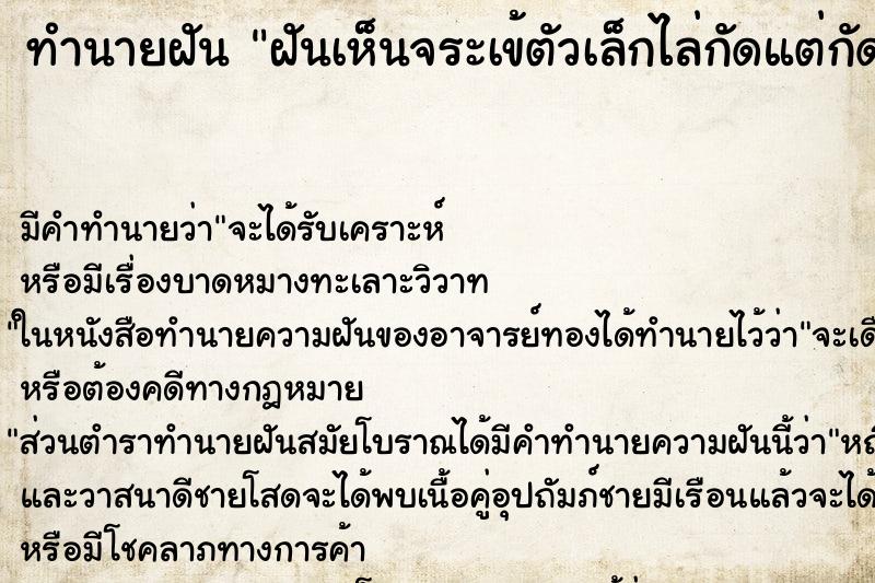 ทำนายฝัน ฝันเห็นจระเข้ตัวเล็กไล่กัดแต่กัดไม่ได้ ทำนายฝัน ฝันเห็นจระเข้ตัวเล็กไล่กัดแต่กัดไม่ได้
