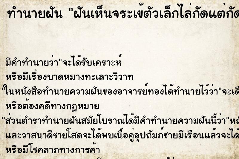 ทำนายฝัน ฝันเห็นจระเข้ตัวเล็กไล่กัดแต่กัดไม่ได้ ตำราโบราณ แม่นที่สุดในโลก