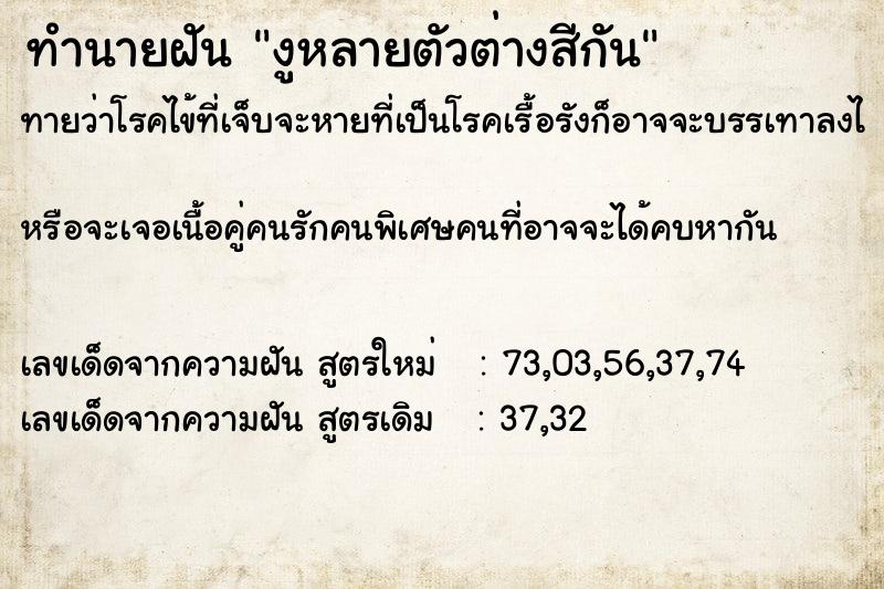 ทำนายฝันงูหลายตัวต่างสีกัน ทำนายฝันทำนายฝันงูหลายตัวต่างสีกัน