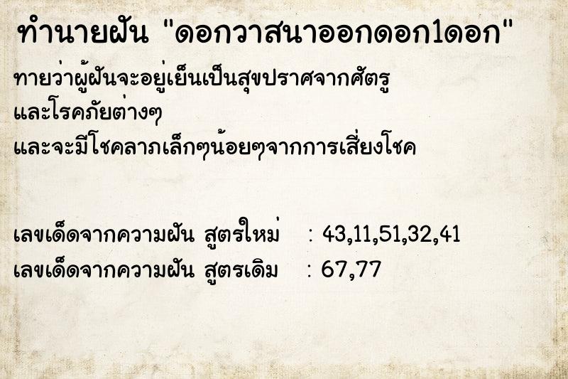 ทำนายฝันดอกวาสนาออกดอก1ดอก ทำนายฝันทำนายฝันดอกวาสนาออกดอก1ดอก