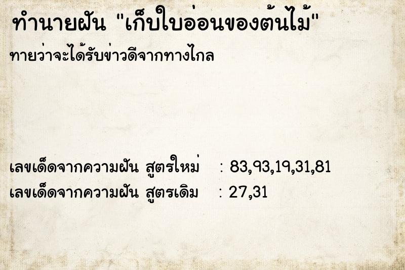 ทำนายฝันเก็บใบอ่อนของต้นไม้ ทำนายฝันทำนายฝันเก็บใบอ่อนของต้นไม้