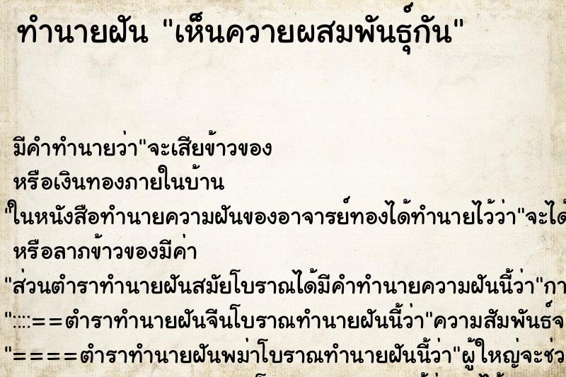 ทำนายฝัน เห็นควายผสมพันธุ์กัน ทำนายฝัน เห็นควายผสมพันธุ์กัน