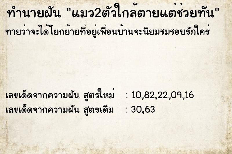ทำนายฝันแมว2ตัวใกล้ตายแต่ช่วยทัน ทำนายฝันทำนายฝันแมว2ตัวใกล้ตายแต่ช่วยทัน