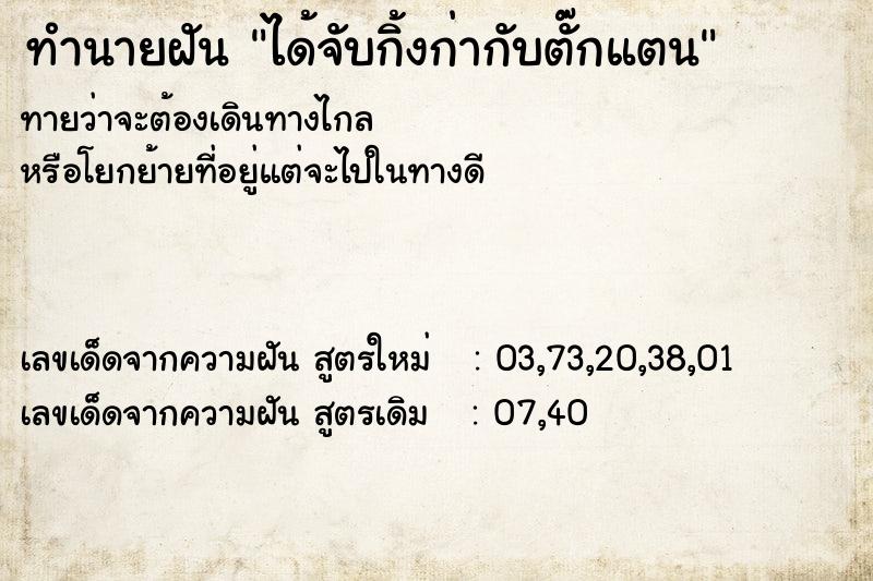 ทำนายฝันทำนายฝันได้จับกิ้งก่ากับตั๊กแตน