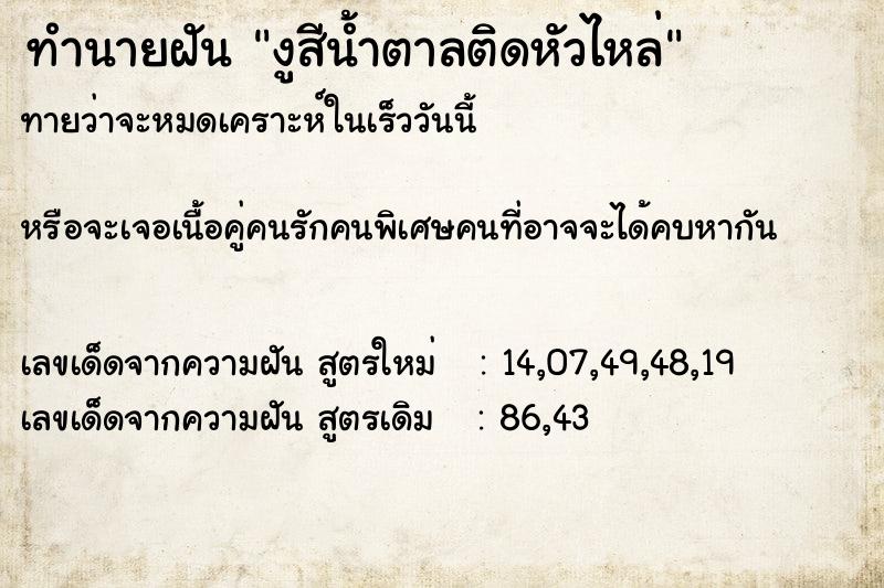 ทำนายฝันทำนายฝันงูสีน้ำตาลติดหัวไหล่