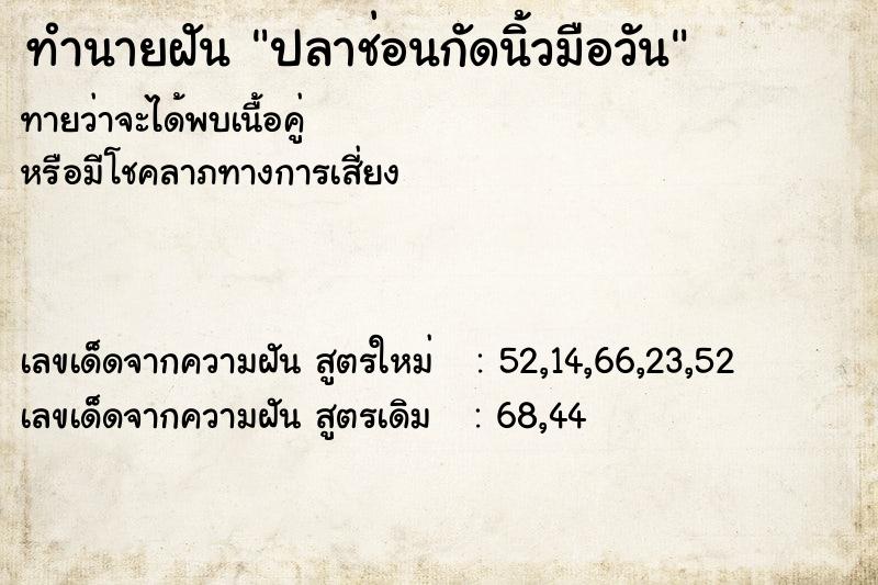 ทำนายฝัน ปลาช่อนกัดนิ้วมือวัน ทำนายฝัน ปลาช่อนกัดนิ้วมือวัน