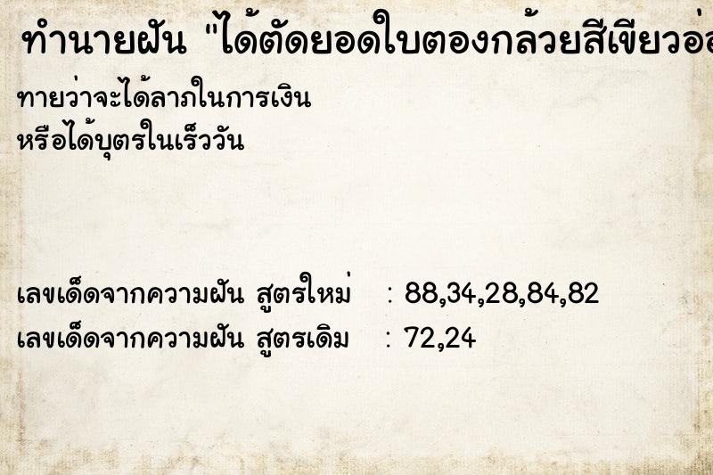 ทำนายฝันทำนายฝันได้ตัดยอดใบตองกล้วยสีเขียวอ่อน