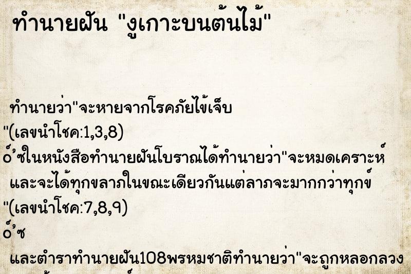 ทำนายฝันทำนายฝันงูเกาะบนต้นไม้