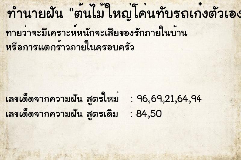 ทำนายฝันทำนายฝันต้นไม้ใหญ่โค่นทับรถเก๋งตัวเอง