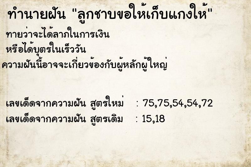 ทำนายฝันทำนายฝันลูกชาบขอให้เก็บแกงให้