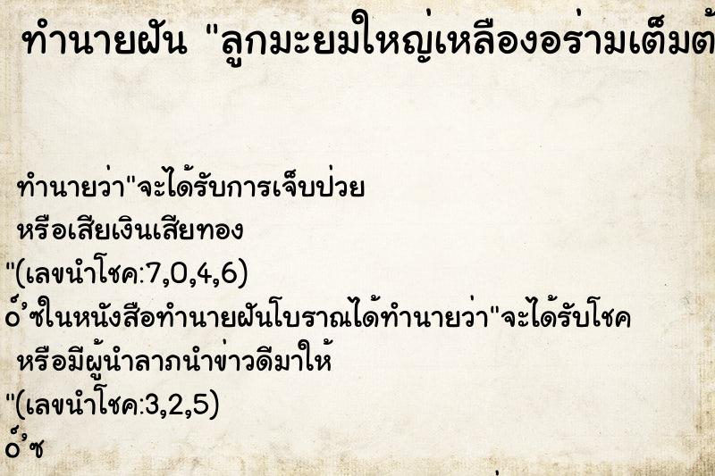 ทำนายฝันลูกมะยมใหญ่เหลืองอร่ามเต็มต้นแล้วเด็ดกิน1ลูก ทำนายฝันทำนายฝันลูกมะยมใหญ่เหลืองอร่ามเต็มต้นแล้วเด็ดกิน1ลูก