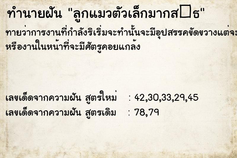 ทำนายฝันลูกแมวตัวเล็กมากส�¸ ทำนายฝันทำนายฝันลูกแมวตัวเล็กมากส�¸