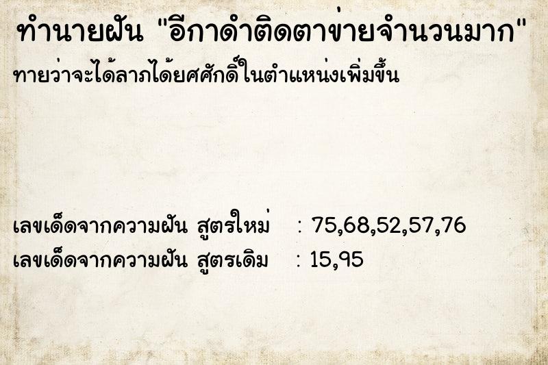 ทำนายฝันอีกาดำติดตาข่ายจำนวนมาก ทำนายฝันทำนายฝันอีกาดำติดตาข่ายจำนวนมาก
