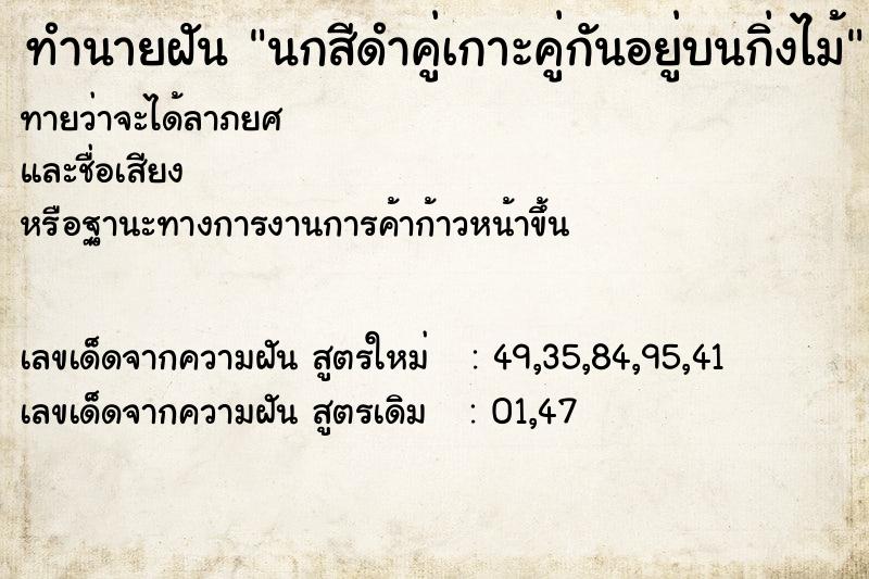 ทำนายฝันนกสีดำคู่เกาะคู่กันอยู่บนกิ่งไม้ ทำนายฝันทำนายฝันนกสีดำคู่เกาะคู่กันอยู่บนกิ่งไม้