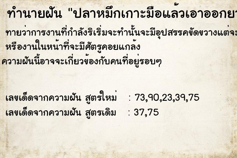 ทำนายฝันทำนายฝันปลาหมึกเกาะมือแล้วเอาออกยากมาก