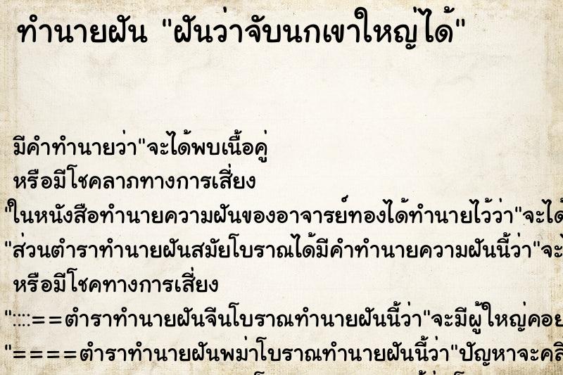 ทำนายฝัน ฝันว่าจับนกเขาใหญ่ได้ ทำนายฝัน ฝันว่าจับนกเขาใหญ่ได้