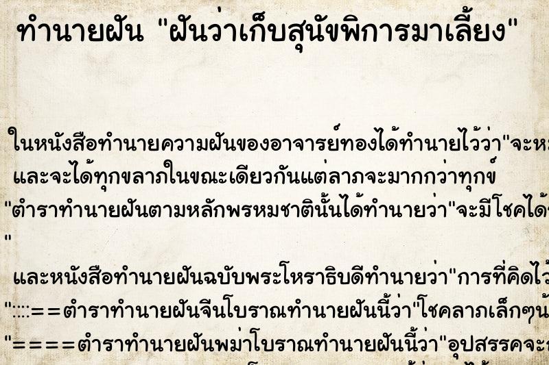 ทำนายฝันทำนายฝันฝันว่าเก็บสุนัขพิการมาเลี้ยง