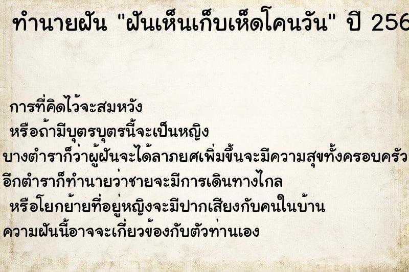ทำนายฝันทำนายฝันฝันเห็นเก็บเห็ดโคนวัน