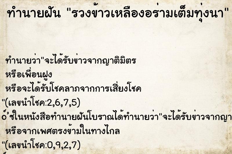 ทำนายฝันทำนายฝันรวงข้าวเหลืองอร่ามเต็มทุ่งนา