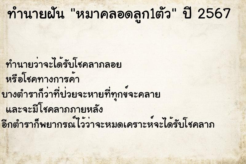 ทำนายฝัน หมาคลอดลูก1ตัว