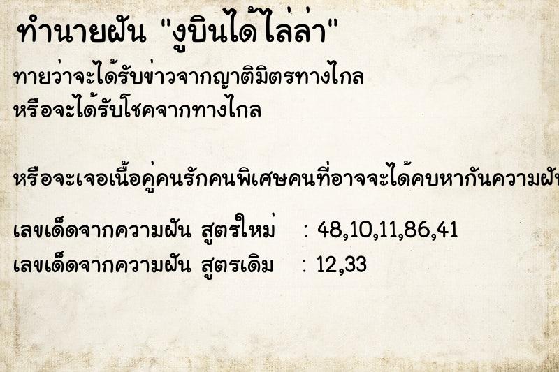 ทำนายฝันทำนายฝันงูบินได้ไล่ล่า