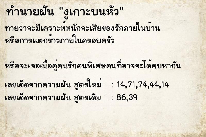 ทำนายฝันทำนายฝันงูเกาะบนหัว