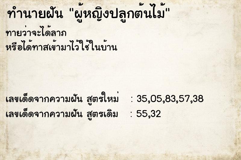 ทำนายฝันผู้หญิงปลูกต้นไม้ ทำนายฝันทำนายฝันผู้หญิงปลูกต้นไม้