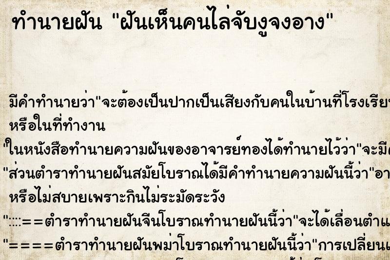 ทำนายฝัน ฝันเห็นคนไล่จับงูจงอาง ทำนายฝัน ฝันเห็นคนไล่จับงูจงอาง