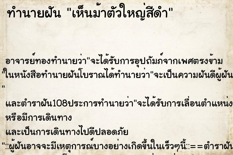 ทำนายฝันเห็นม้าตัวใหญ่สีดำ ทำนายฝันทำนายฝันเห็นม้าตัวใหญ่สีดำ