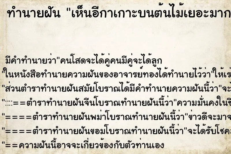 ทำนายฝัน เห็นอีกาเกาะบนต้นไม้เยอะมาก ทำนายฝัน เห็นอีกาเกาะบนต้นไม้เยอะมาก