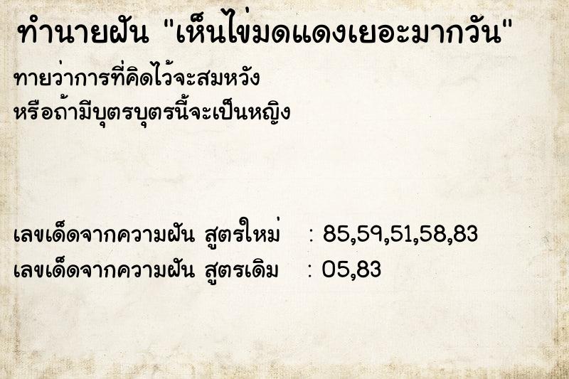 ทำนายฝันเห็นไข่มดแดงเยอะมากวัน ทำนายฝันทำนายฝันเห็นไข่มดแดงเยอะมากวัน