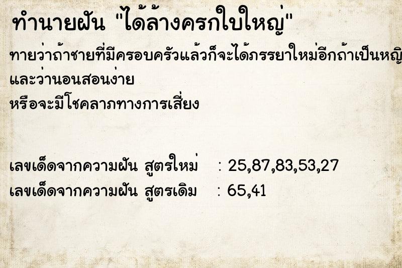 ทำนายฝันได้ล้างครกใบใหญ่ ทำนายฝันทำนายฝันได้ล้างครกใบใหญ่