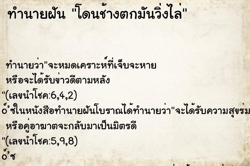 ทำนายฝัน โดนช้างตกมันวิ่งไล่ ทำนายฝัน โดนช้างตกมันวิ่งไล่