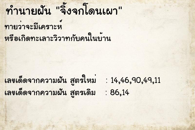 ทำนายฝันทำนายฝันจิ้งจกโดนเผา