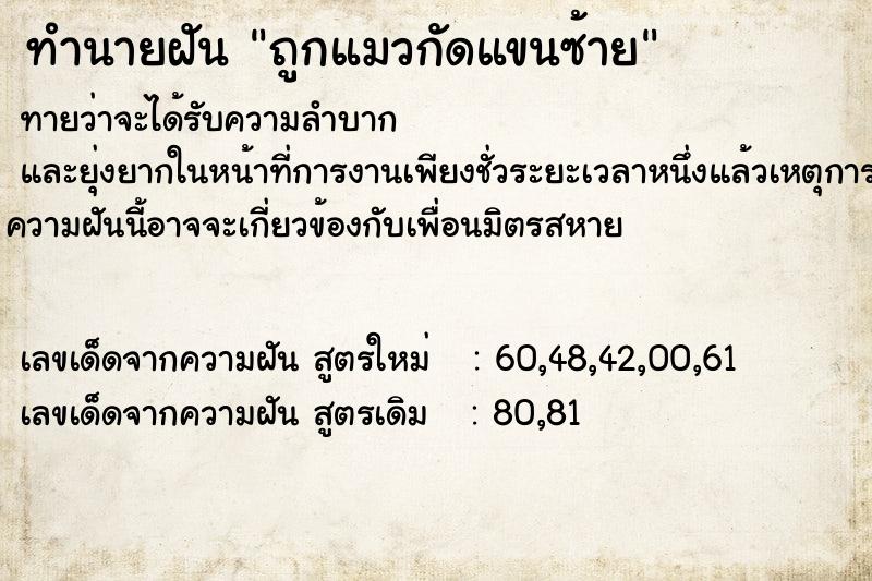 ทำนายฝันทำนายฝันถูกแมวกัดแขนซ้าย